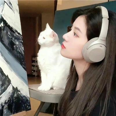 非诚勿扰综艺